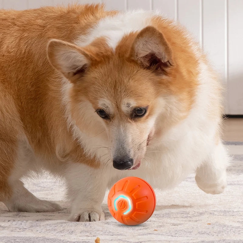 The Bouncy Boy™